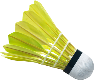 Badminton volant PNG image-10439